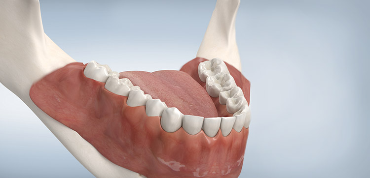 Zahnarztpraxis Vogt-Eichler 3D-Animationen
